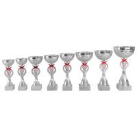 AR1421_serie